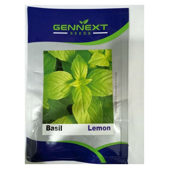 Lemon Basil Seeds GENNEXT SEEDS 1gm